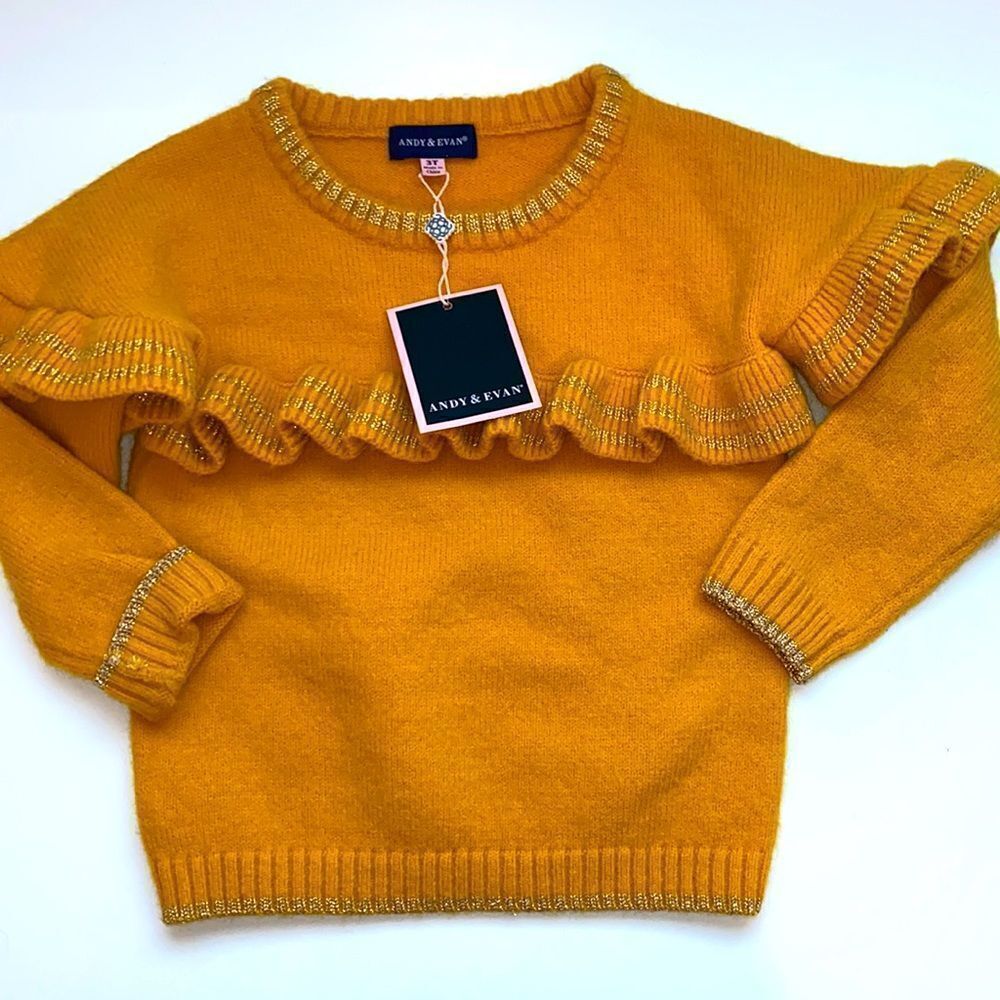 NEW ANDY & Evan sweater girl 3T